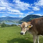 Heidi Mit